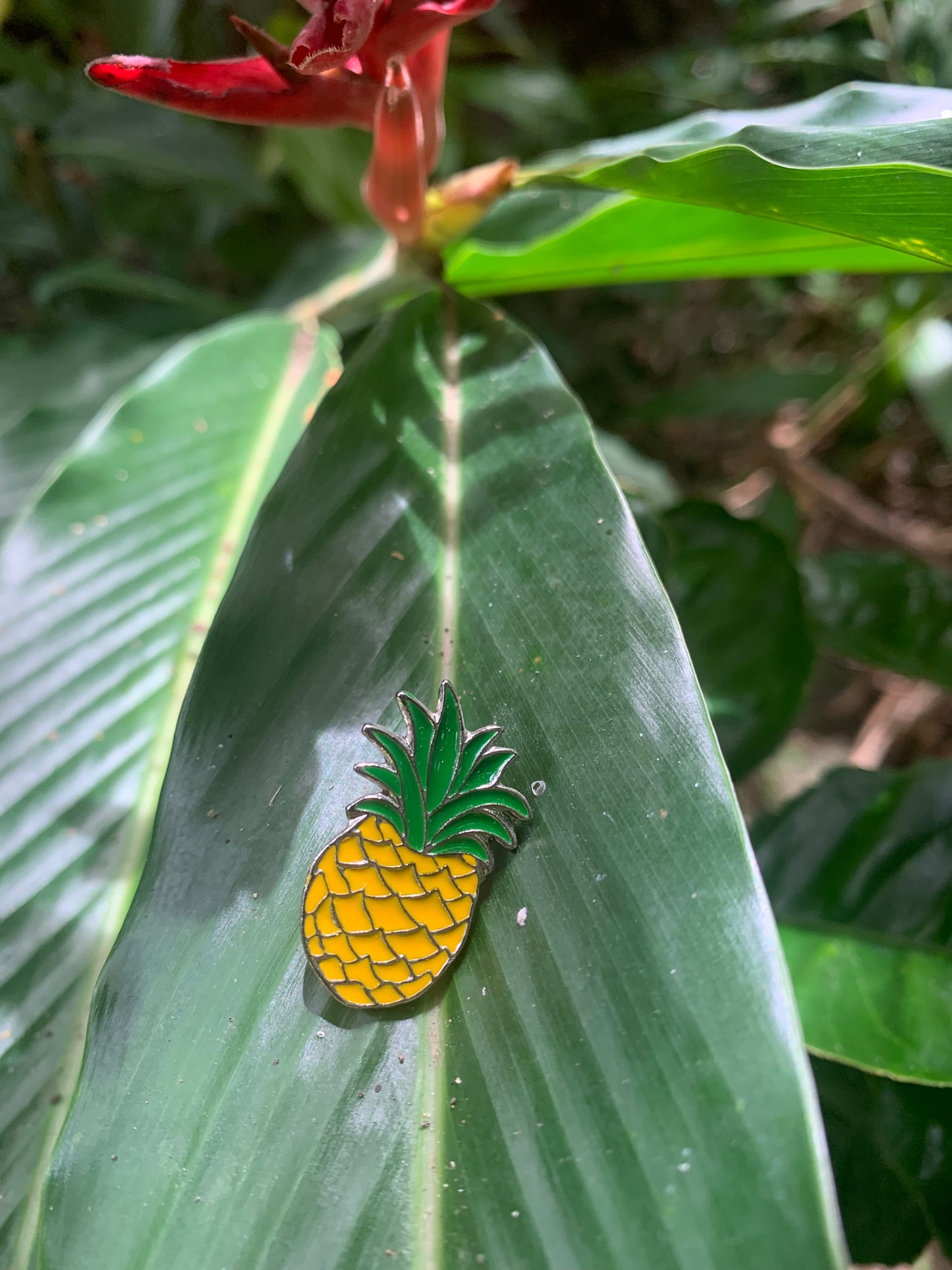 Pin piña