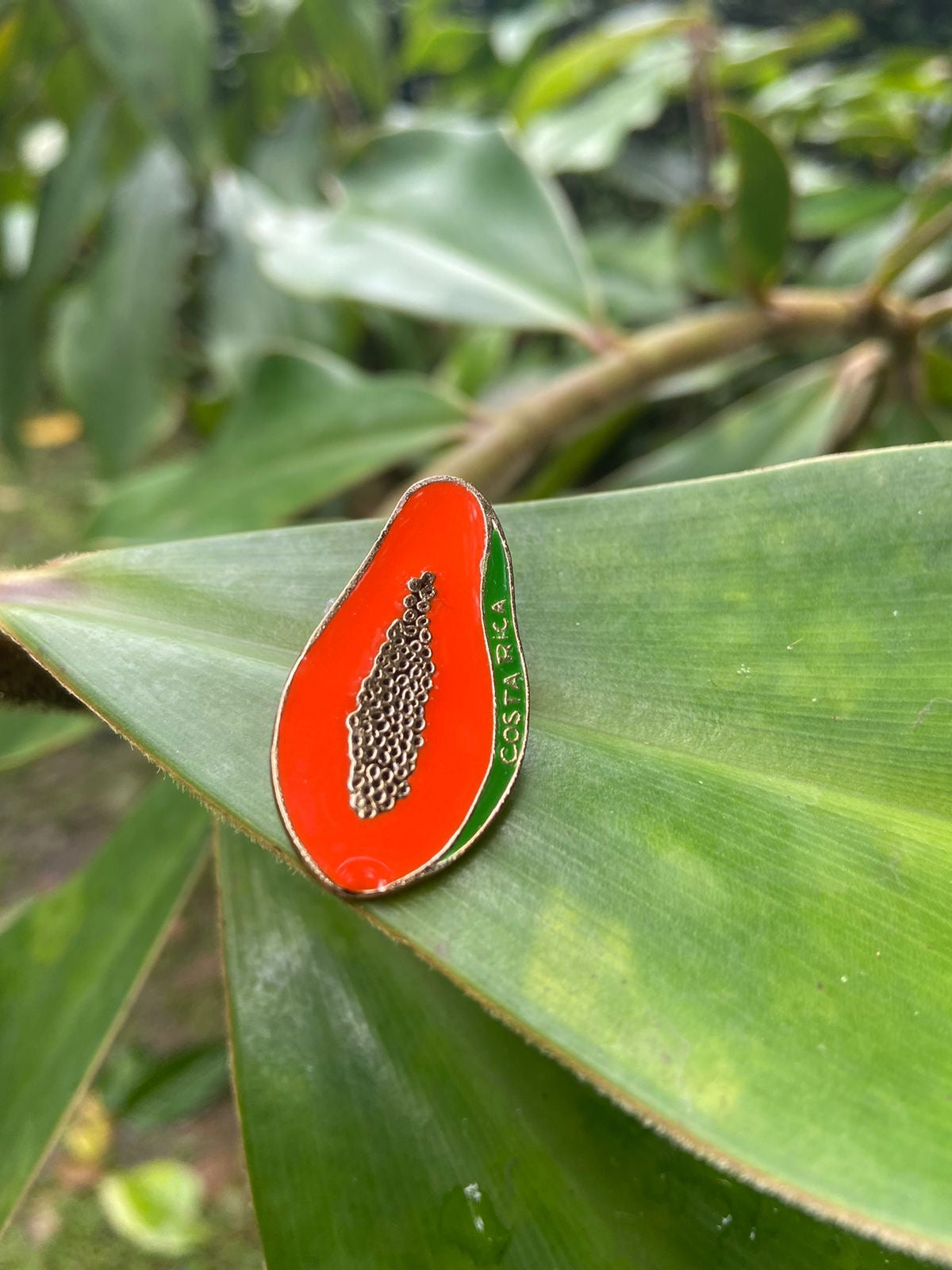 Pin Papaya