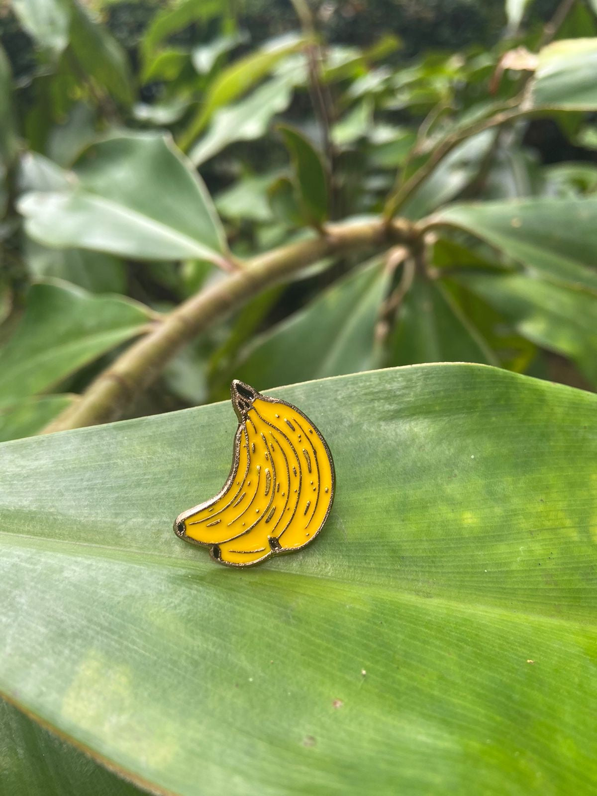 Pin Banano